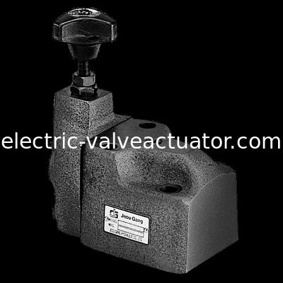 Un buon prezzo. Il pilota di sereis della BG del gruppo di Jeou ha fatto funzionare le valvole BG-03 BG-06 BG-10 del controllo della pressione delle valvole a sfera in linea