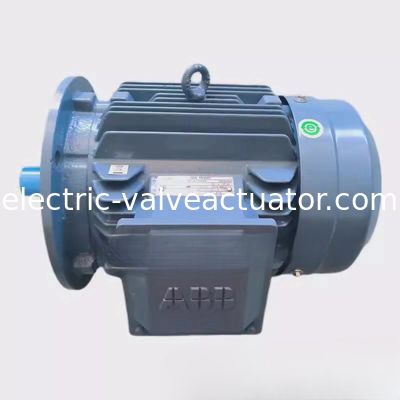 Un buon prezzo. M2QA200LB6 22KW Motore asincrono trifase a 6 poli IC411 auto raffreddamento in linea