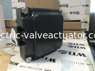 Un buon prezzo. TVH-E20GNPM TOPWORX Emerson Valve Monitor in alluminio anodizzato o acciaio inossidabile 316 in linea