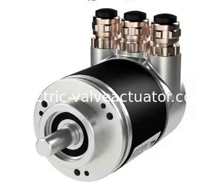 Un buon prezzo. Nuovo Encoder Originale P+F EVM58N-011PNR0BN-1213 in linea