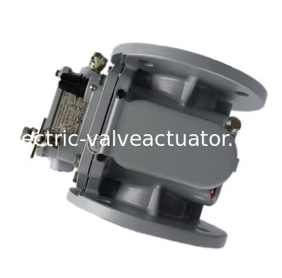 Un buon prezzo. Marchio originale RELÈ GAS EMB BF80 10 09-1.25.28.41.0213 in linea