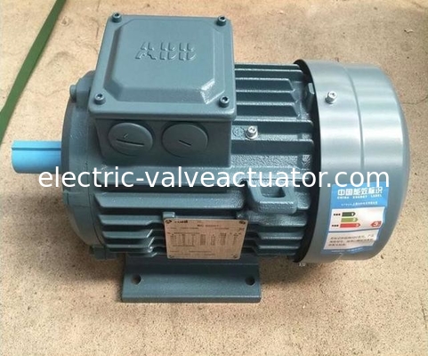Un buon prezzo. M2BA Serie 380V IP55 NEMA Flang Foot montato 3 fasi AC Motori elettrici in linea