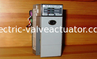 Un buon prezzo. PLC Allen Bradley Programmabile Logic Controller 1747-L532 Ser E SLC500 in linea