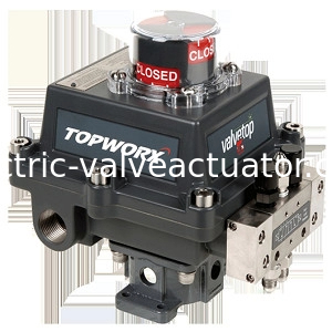Un buon prezzo. Trasmettitore meccanico di prossimità Emerson TOPWORX Go Switch Proximity 4-20mA DXP-L21GNEB in linea
