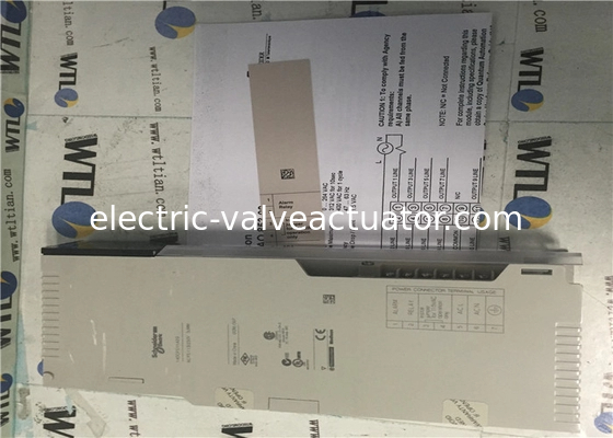 Un buon prezzo. Schneider Electric Programable Logic Controller 140CPS11420 Power Supply Module in linea