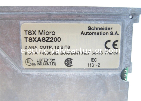 Un buon prezzo. Schneider Electric TSXASZ200 TSX Micro 2 uscite analogiche +- 10 V 0-20 4-20 mA in linea