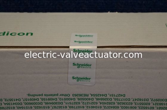 Un buon prezzo. Unità di elaborazione della scanalatura 80486 dello SpA/CPU di 140CPU65260C Modicon Quantum singola con matematico in linea