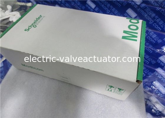 Un buon prezzo. 140CPU67060 Modicon Quantum PLC CPU Single Slot 80486 Processore con sistema matematico in linea