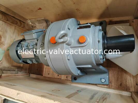 Un buon prezzo. GUOMAO XWED8145A2537 Riduttore di velocità - Trasmissione a perno cicloidale in linea