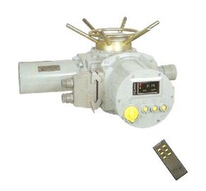 Un buon prezzo. Valvola esatta del multi di girata piccolo azionatore elettrico della valvola che posiziona CC 24V in linea