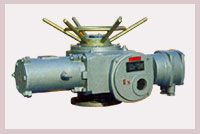 Un buon prezzo. Azionatori elettrici rotativi IP55 per 5 - 1200Nm, 12 - 36rpm ignifughi in linea