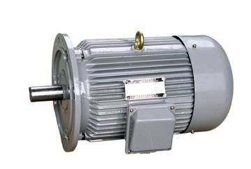 Un buon prezzo. Le iarde di serie di codice categoria tre 3 a velocità diverse dell'isolamento mettono i motori in fase elettrici YD90L, YD802 in linea
