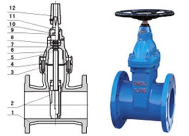 Un buon prezzo. Prodotti chimici messi resilienti non aumentanti del cancello del gambo RVCX \ di RVHX, valvola della centrale elettrica in linea